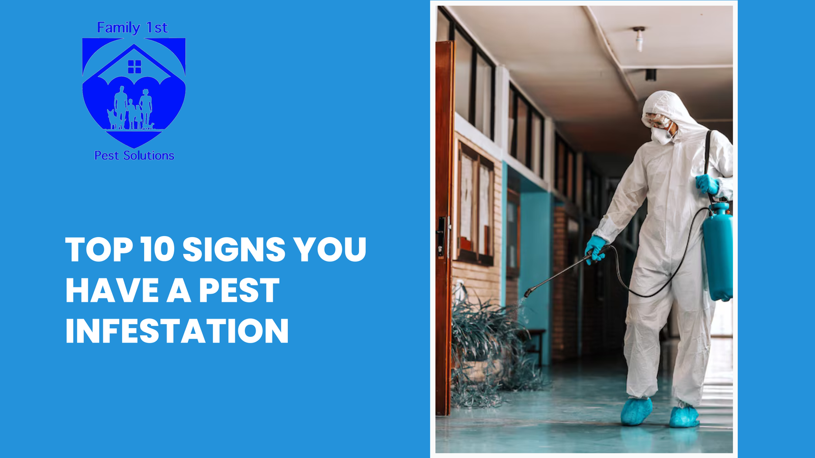  Top 10 Signs You Have a Pest Infestation