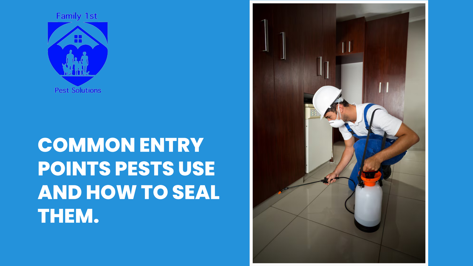 Common Entry Points Pests Use and How to Seal Them.