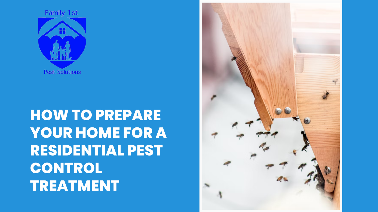 How to Prepare Your Home for a Residential Pest Control Treatment