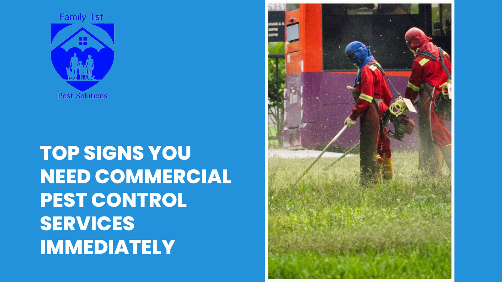 Top Signs You Need Commercial Pest Control Services Immediately