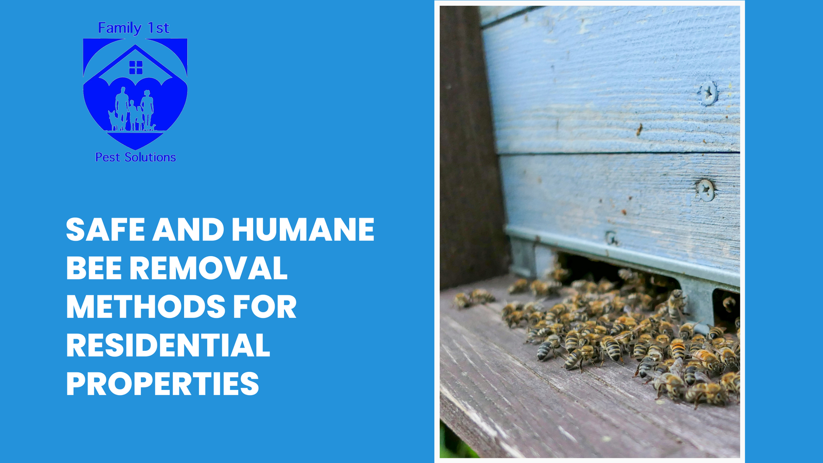 Safe and Humane Bee Removal Methods for Residential Properties