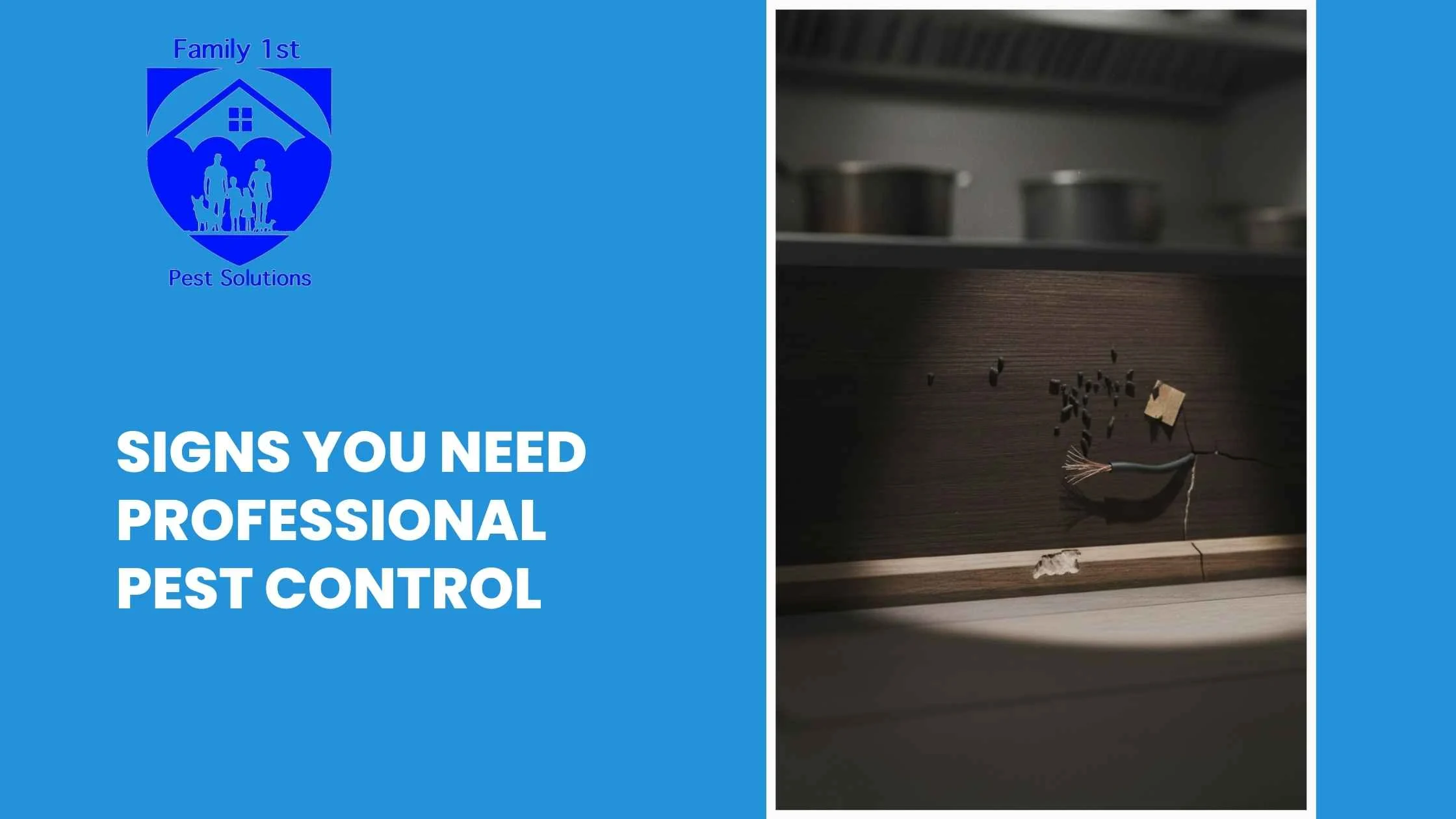 Signs You Need Professional Pest Control