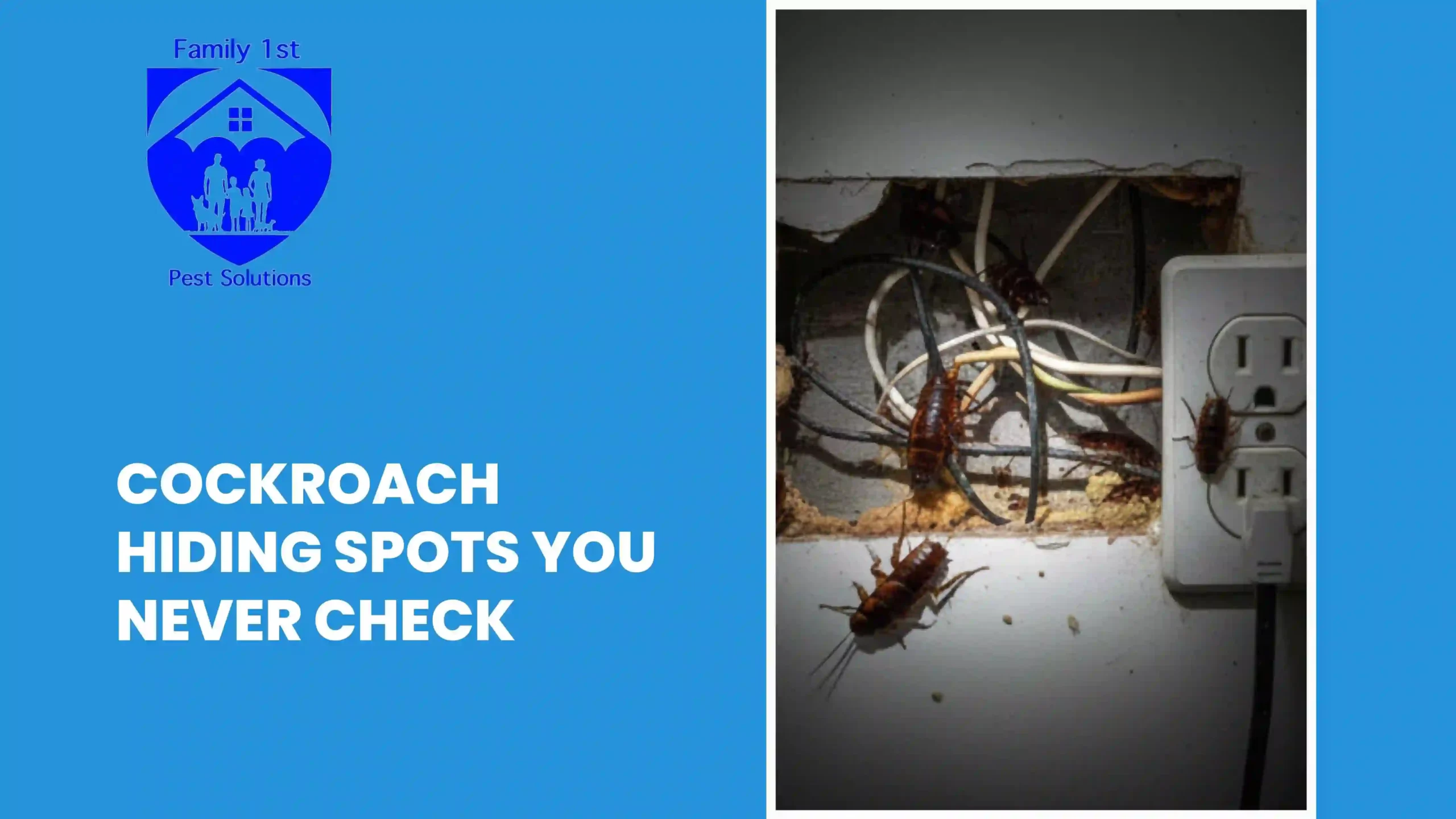 Cockroach Hiding Spots You Never Check